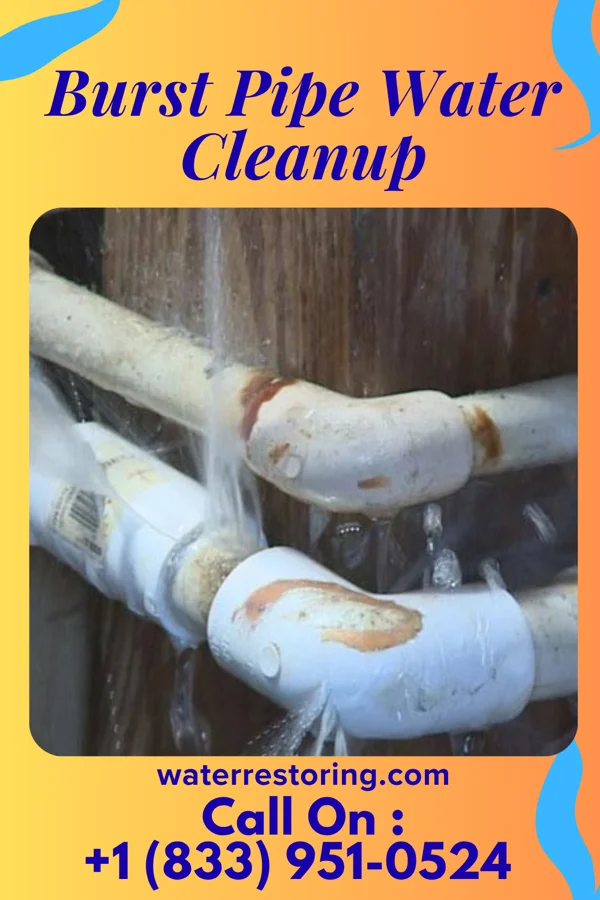 Burst Pipe Water Cleanup in Parkway, MO