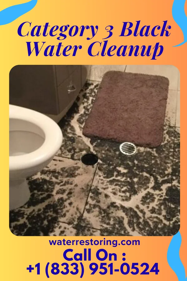 Category 3 Black Water Cleanup in Parkway, MO