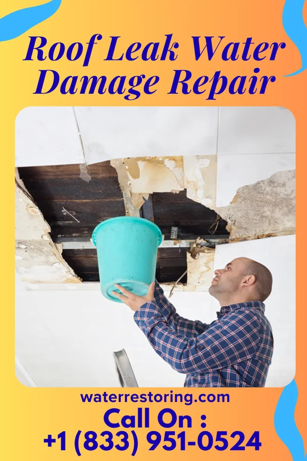 Roof Leak Water Damage Repair in Parkway, MO