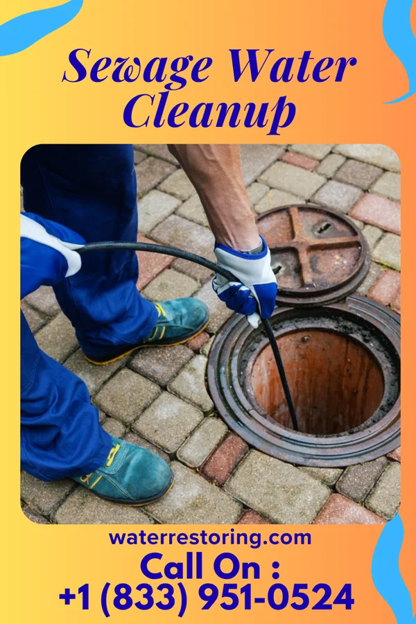 Sewage Water Cleanup in Parkway, MO